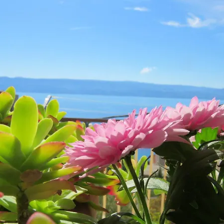 Apartament Nemira