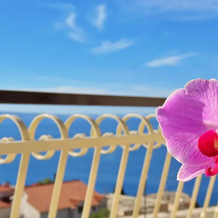 Nemira Apartament *