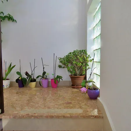 Nemira Apartament *