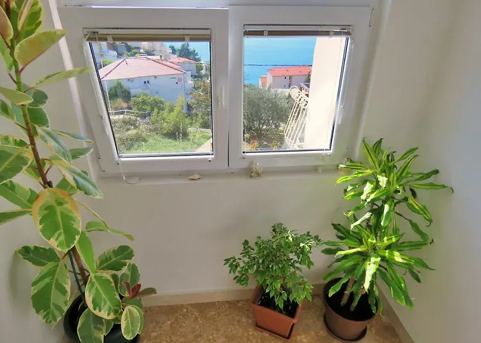Apartamento Nemira
